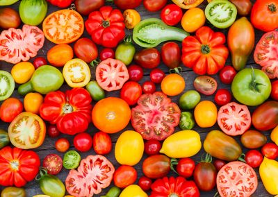 Tomates, les reines du potager