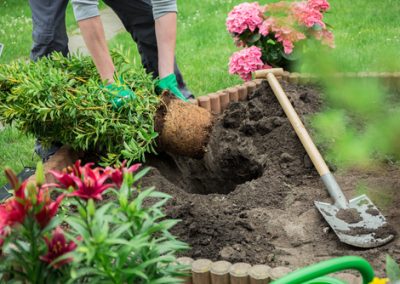 Les travaux au jardin