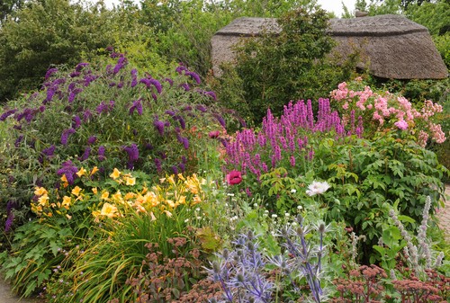 Jardiniers, vive les mélanges !