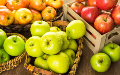 Nos variétés de pommes anciennes