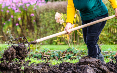 Enfouir ou pas le compost