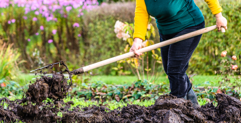 Enfouir ou pas le compost