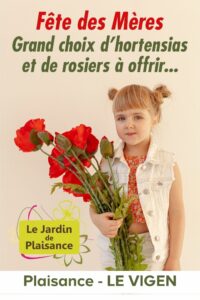Affiche Fête des Mères Affiche Fête des Mères